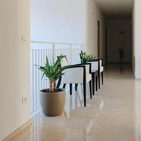 Ranalli Palace 招待所 4*
